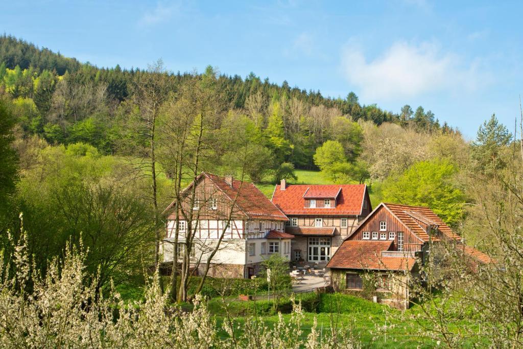 Romantik Hotel Landhaus Baerenmuehle Frankenau Εξωτερικό φωτογραφία